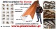 View this ad